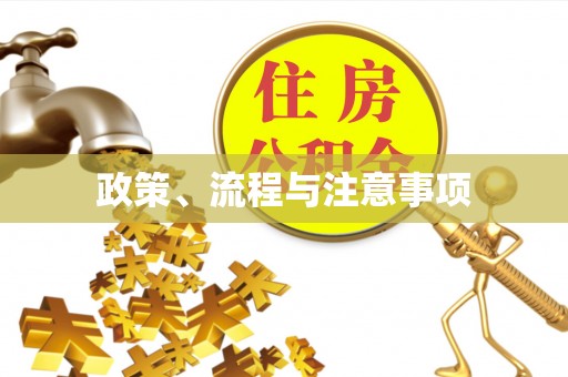 东兴政策、流程与注意事项