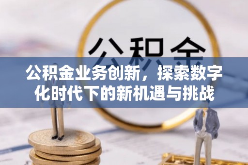 东兴公积金业务创新，探索数字化时代下的新机遇与挑战