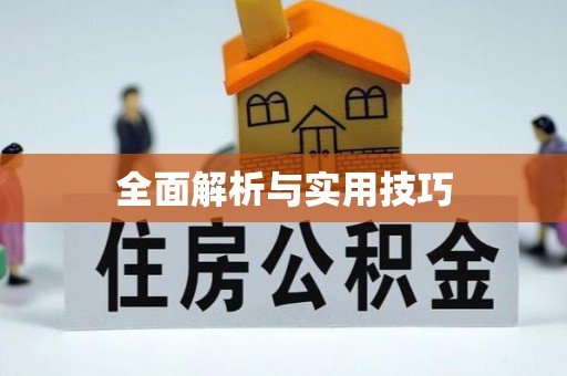 东兴全面解析与实用技巧
