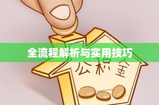 东兴全流程解析与实用技巧