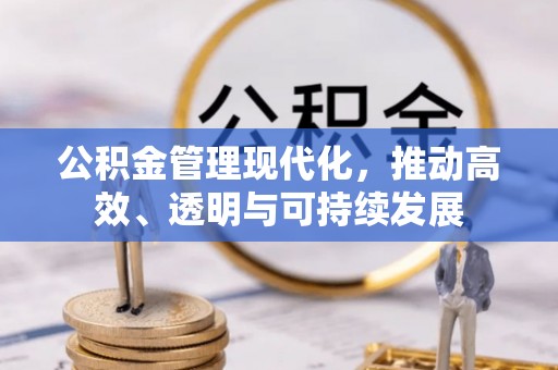 东兴公积金管理现代化，推动高效、透明与可持续发展