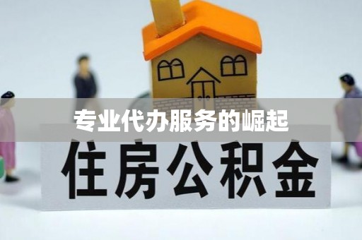 东兴专业代办服务的崛起