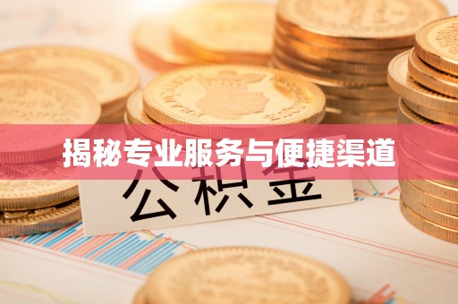 东兴揭秘专业服务与便捷渠道