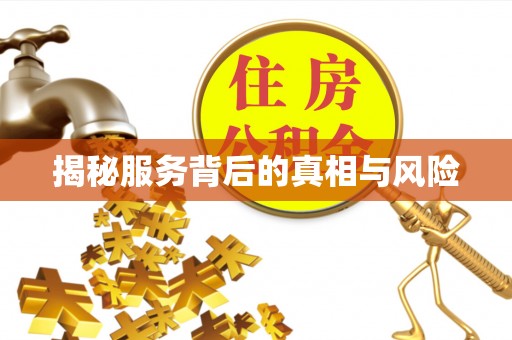 东兴揭秘服务背后的真相与风险