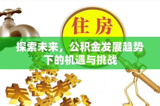 东兴探索未来，公积金发展趋势下的机遇与挑战