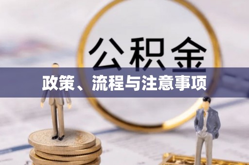 东兴政策、流程与注意事项