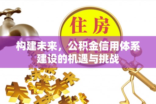 东兴构建未来，公积金信用体系建设的机遇与挑战