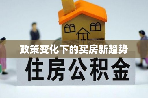 东兴政策变化下的买房新趋势