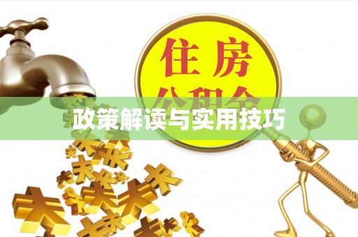 东兴政策解读与实用技巧
