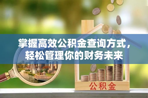 东兴掌握高效公积金查询方式，轻松管理你的财务未来