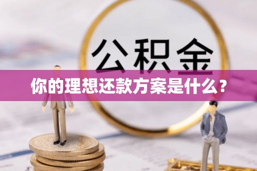 东兴你的理想还款方案是什么？
