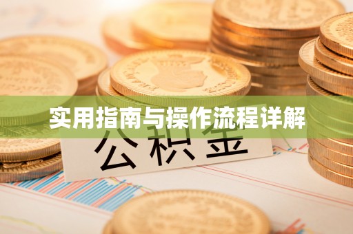 东兴实用指南与操作流程详解