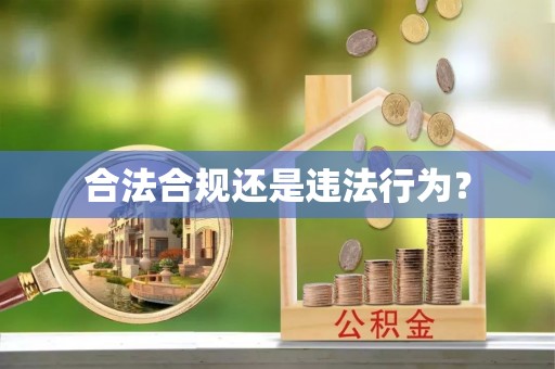 东兴合法合规还是违法行为？