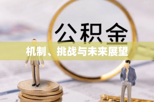 东兴机制、挑战与未来展望