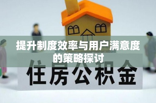 东兴提升制度效率与用户满意度的策略探讨