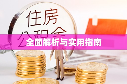 东兴全面解析与实用指南